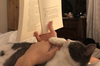 A cat reading a book