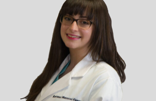 Dr. Alexandra Kravitz of the Animal Medical Center in New York City