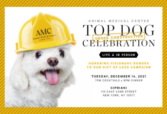AMC Top Dog Celebration 2021