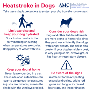 Heatstroke prevention in dogs