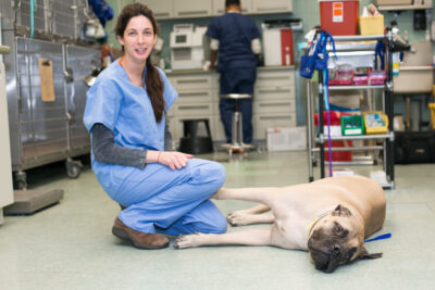 A veterinary professional with a dog
