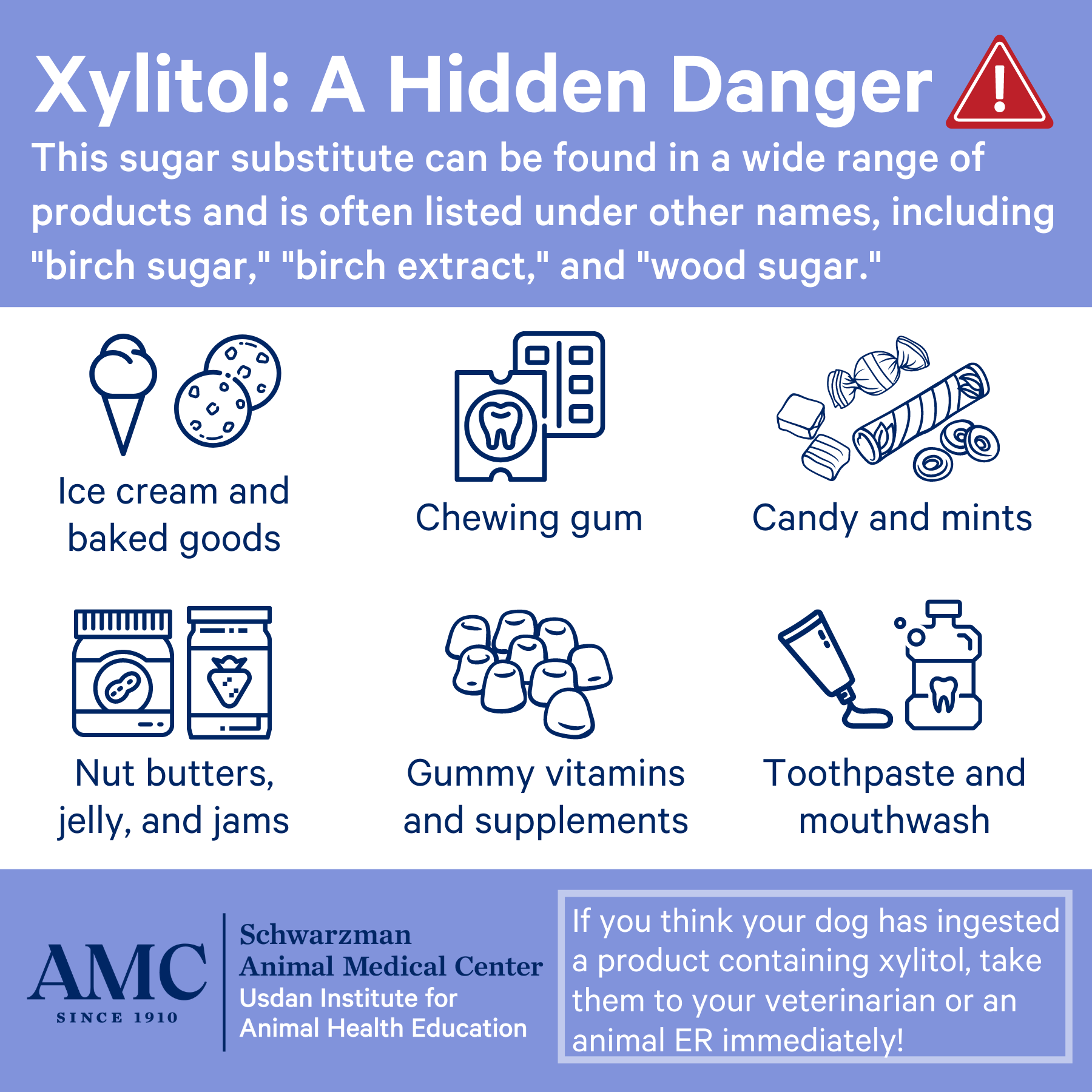 Xylitol poisoning in dogs