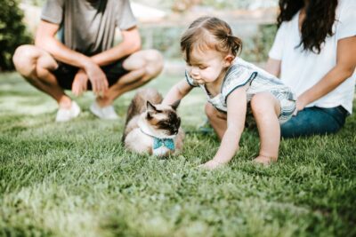 A toddler pets a cat outside