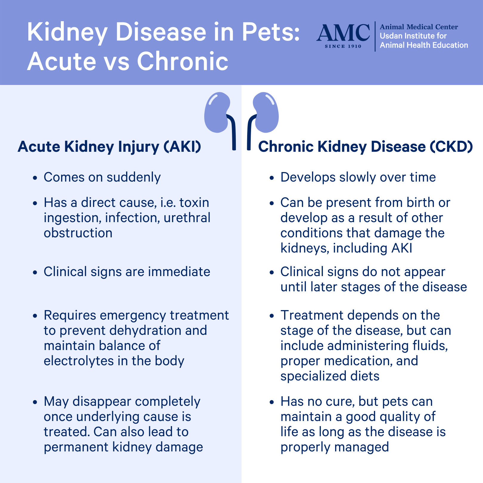kidney-failure-is-a-progressive-disease-catwatch-newsletter