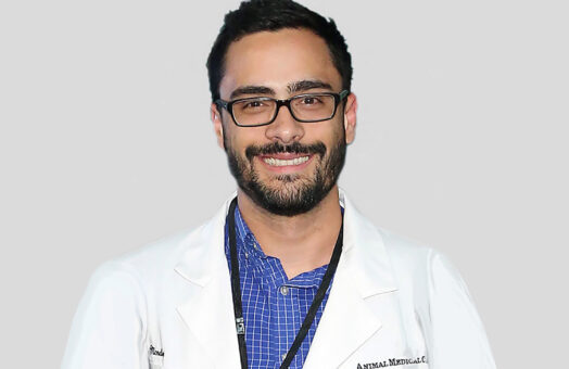 Dr. Alejandro Medez of the Animal medical Center in New York City