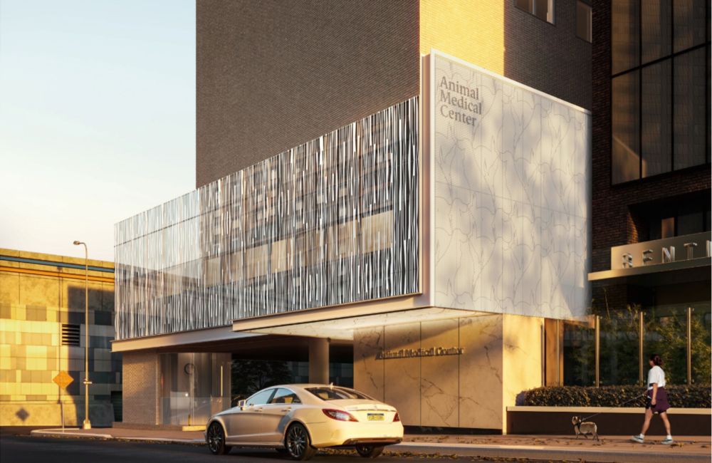 A rendering of the new entrance at the Schwarzman Animal Medical Center