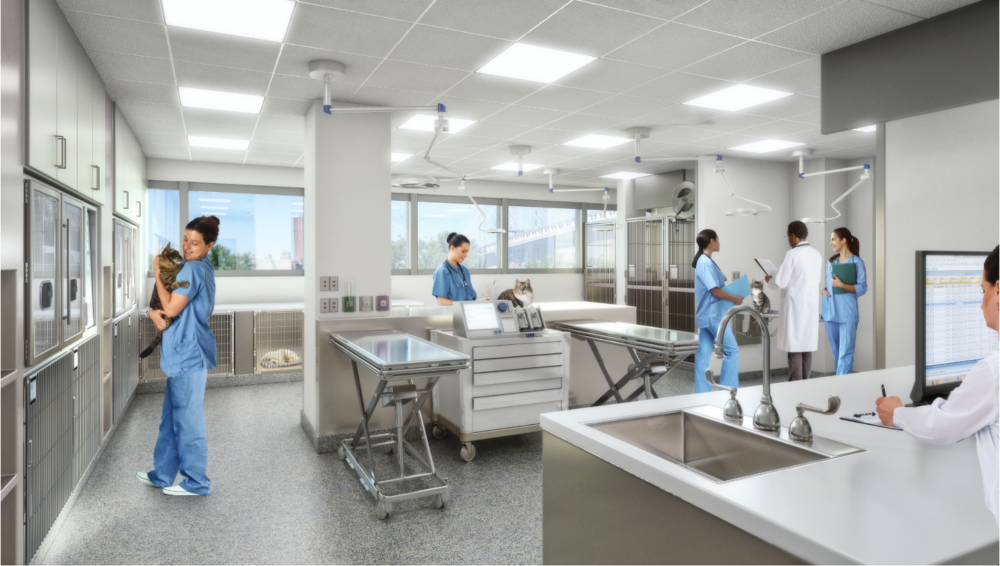 A rendering of the new emergency room at the Animal Medical Center