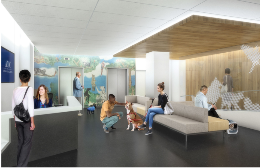 A rendering of the new lobby at the Animal Medical Center