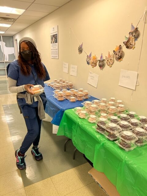 A veterinary assistant with a cupcake