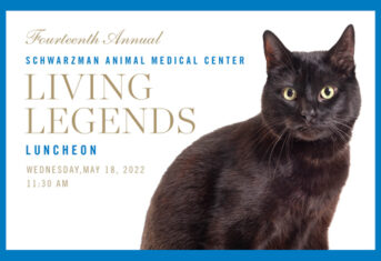 Fourteenth Annual Schwarzman Animal Medical Center Living Legends Luncheon: Wednesday, May 18, 2022, 11:30am