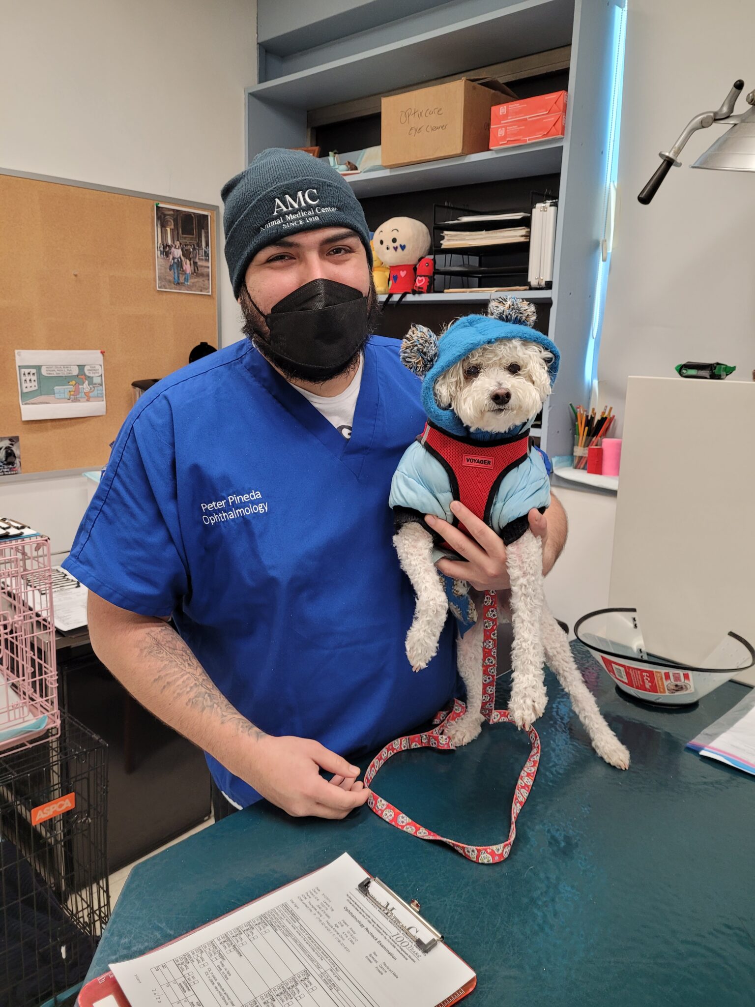 A veterinary assistant with a dog
