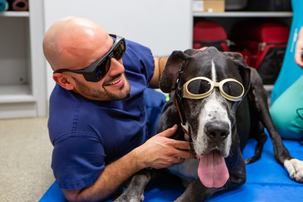 A veterinary assistant with a dog