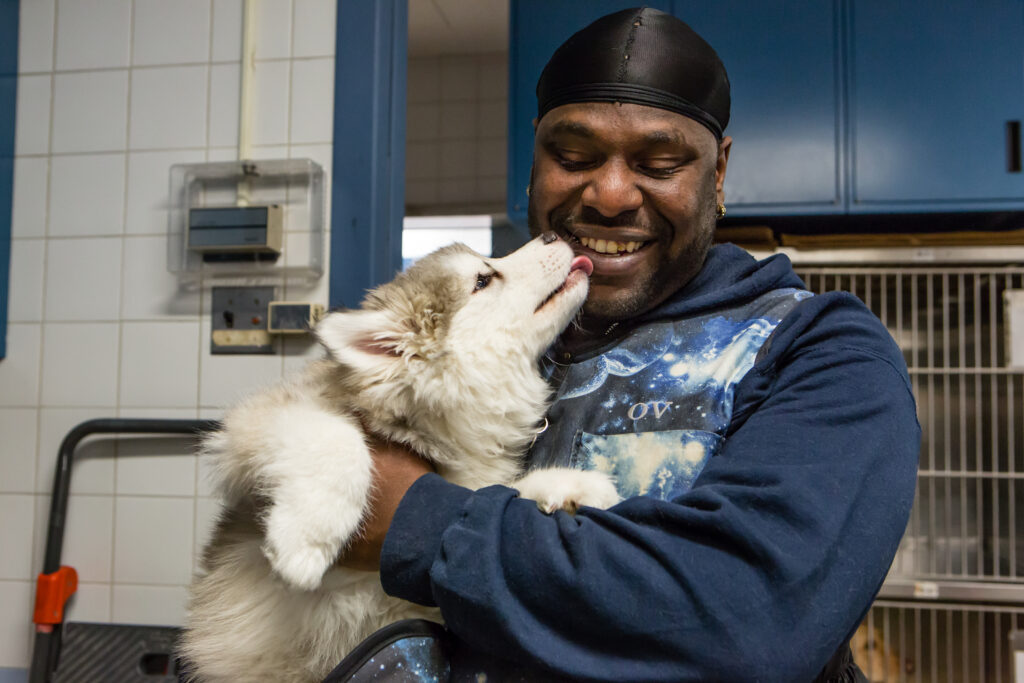 A veterinary assistant with a dog