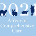 2021 A Year of Comprehensive Care