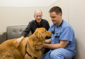 urinary tract infection Archives - The Animal Medical Center urinary tract infection Archives - The Animal Medical Center