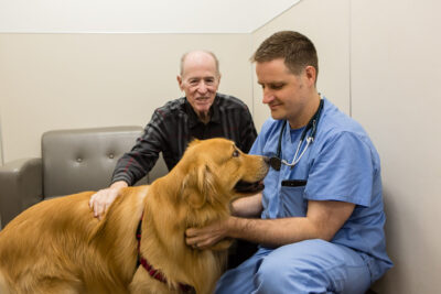A veterinarian with a dog and the dog's owner