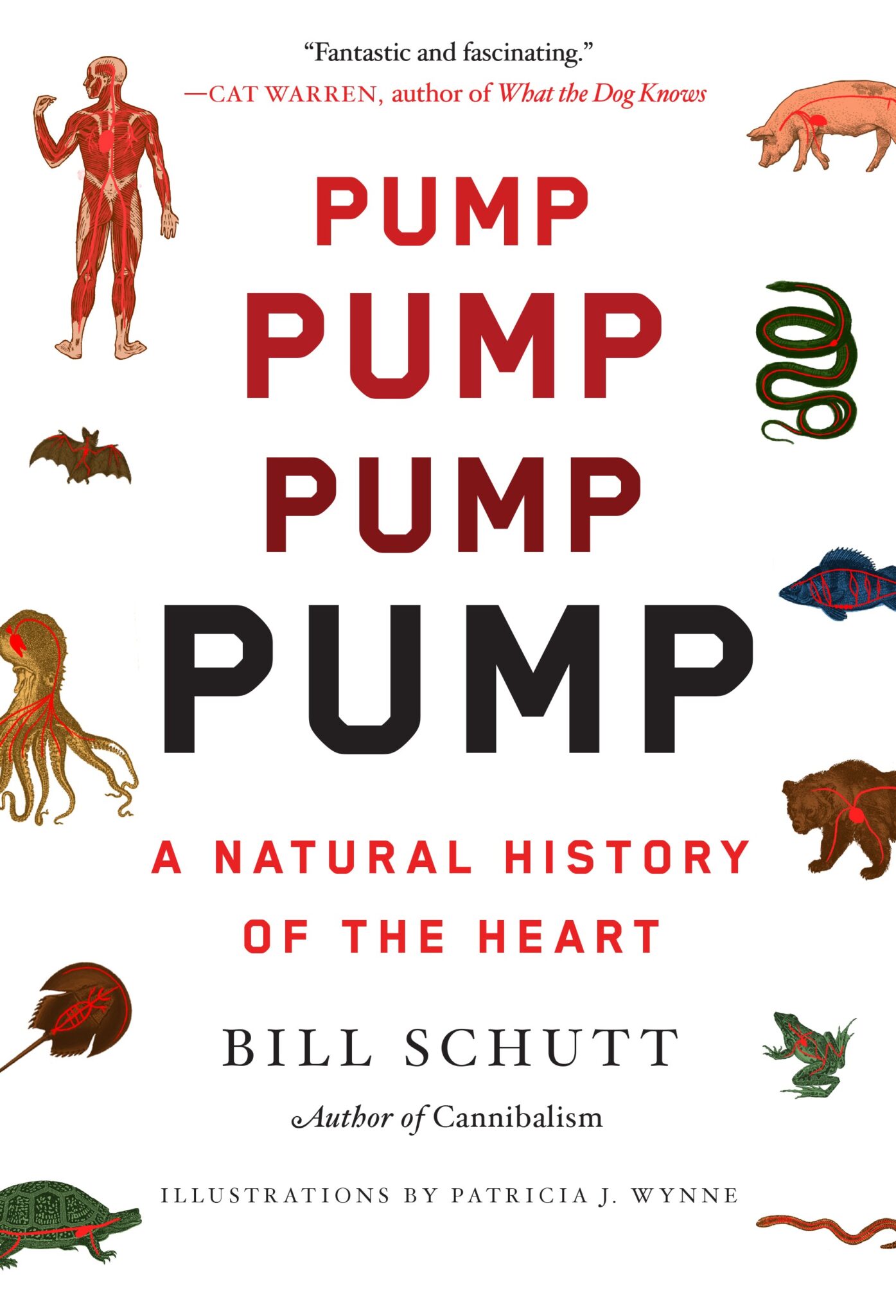 cover of Pump book