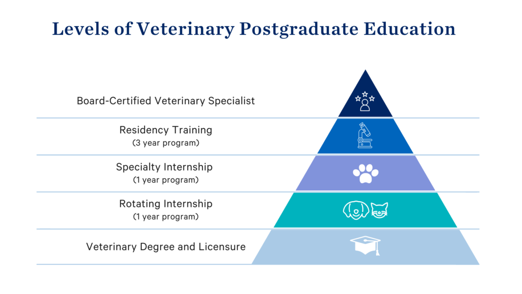 Levels of Veterinary Postgraduate Education