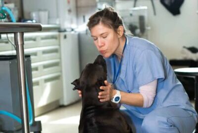 A veterinary professional kissing a dog