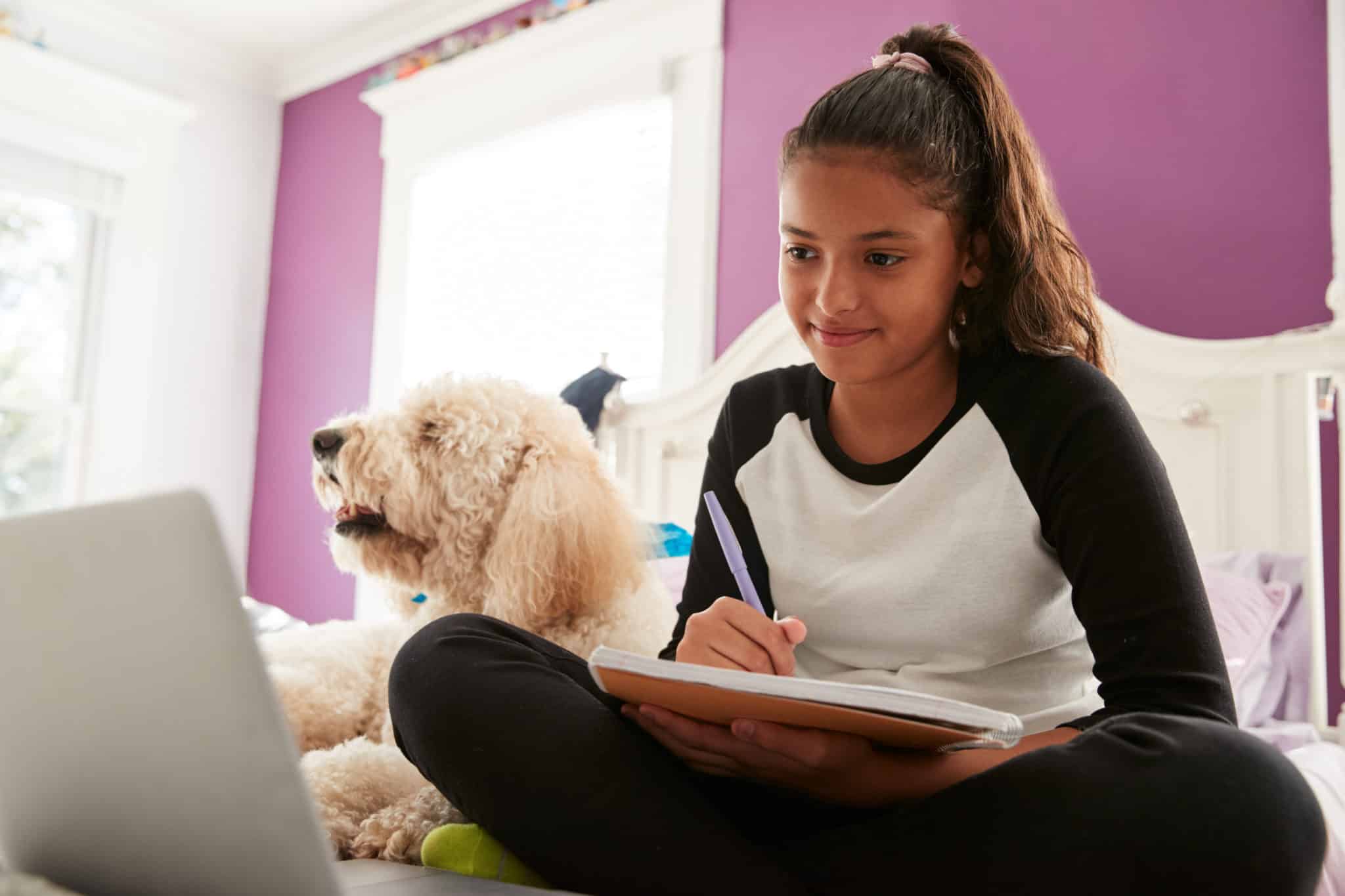 Girl on laptop with pet dog