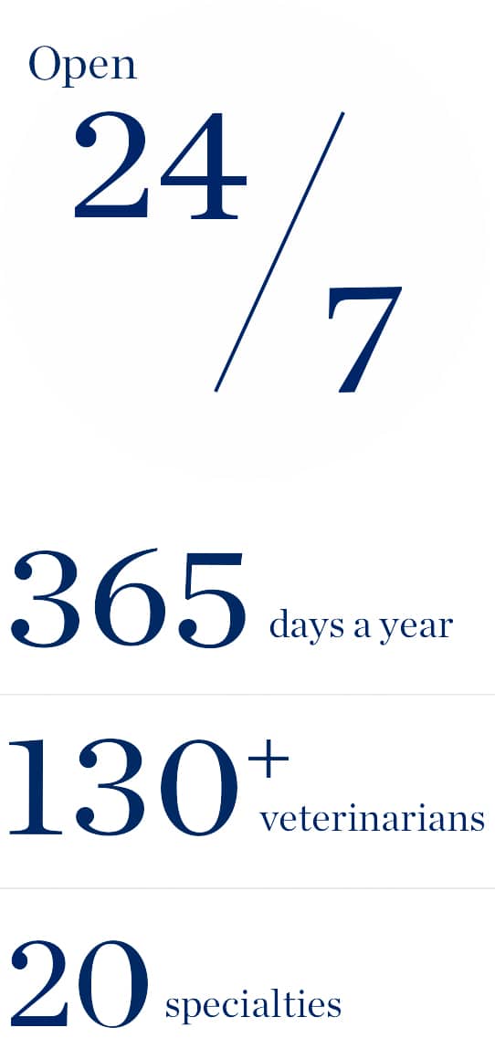 A graphic that says