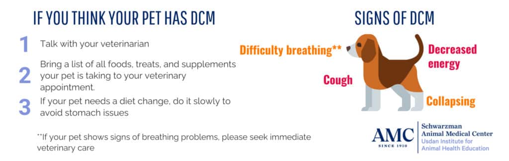 If you think your pet has DCM talk with your veterinarian and bring a list of all foods, treats, and supplements to your appointment. Signs of DCM: Difficulty breathing, decreased energy, cough, collapsing
