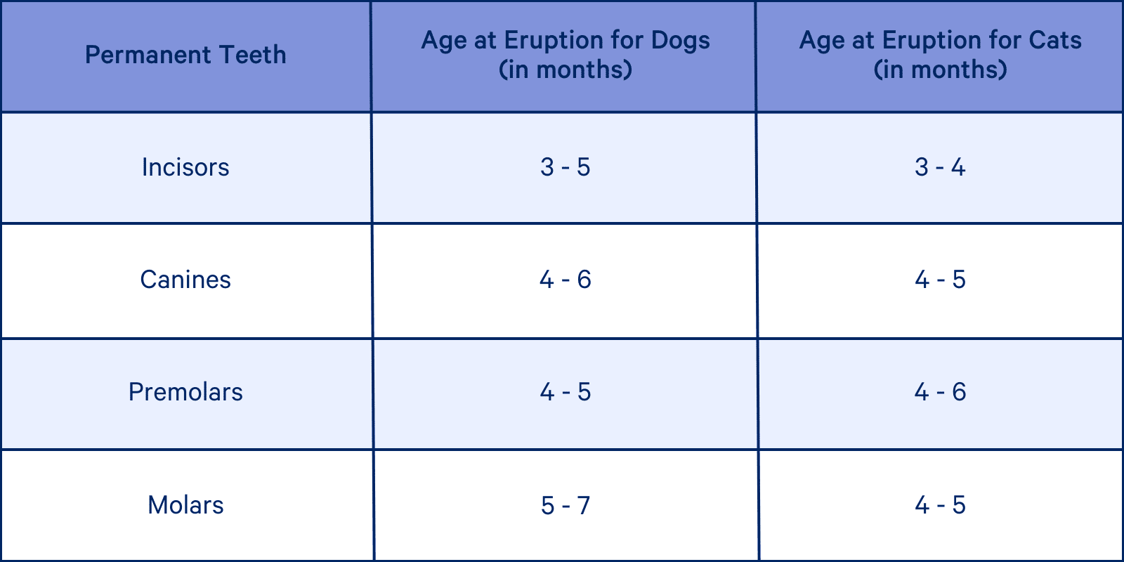 Age at eruption of permanent teeth for dogs: Incisors 3 to 5 months. Canines 4 to 6 months. Premolars 4 to 5 months. Molars 5 to 7 months. Age at eruption of permanent teeth for cats: Incisors 3 to 4 months. Canines 4 to 5 months. Premolars 4 to 6 months. Molars 4 to 5 months. 