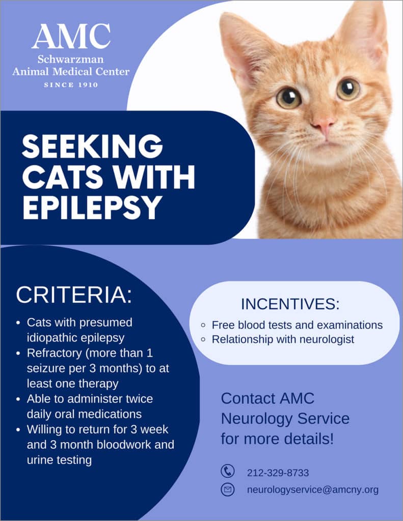 Seeking cats with presumed idiopathic epilepsy