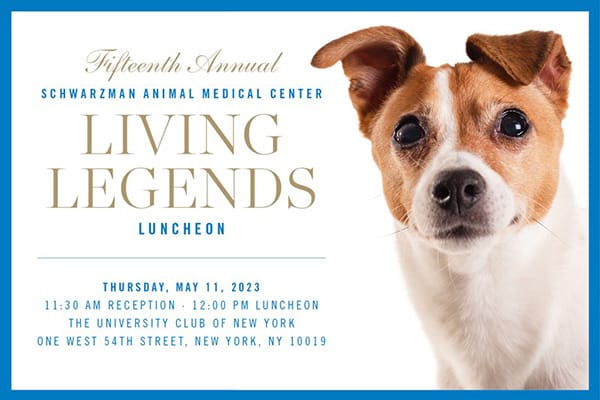 Schwarzman AMC Living Legends 2023