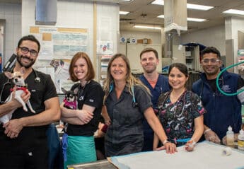 Group photo of ER staff at AMC