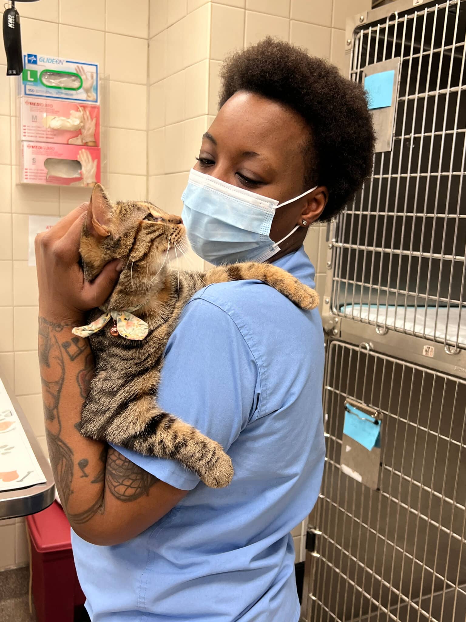A Veterinary Assistant with a cat