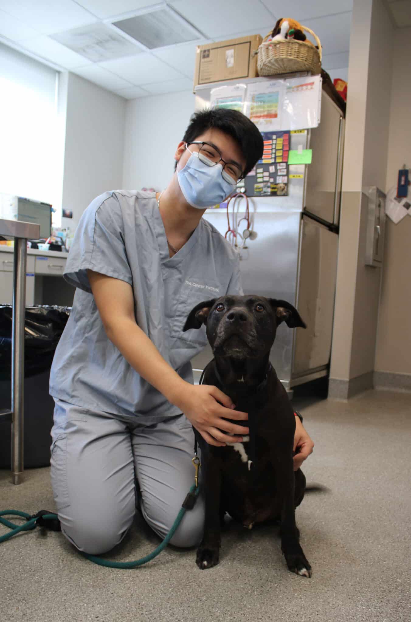 A veterinary assistant with a dog