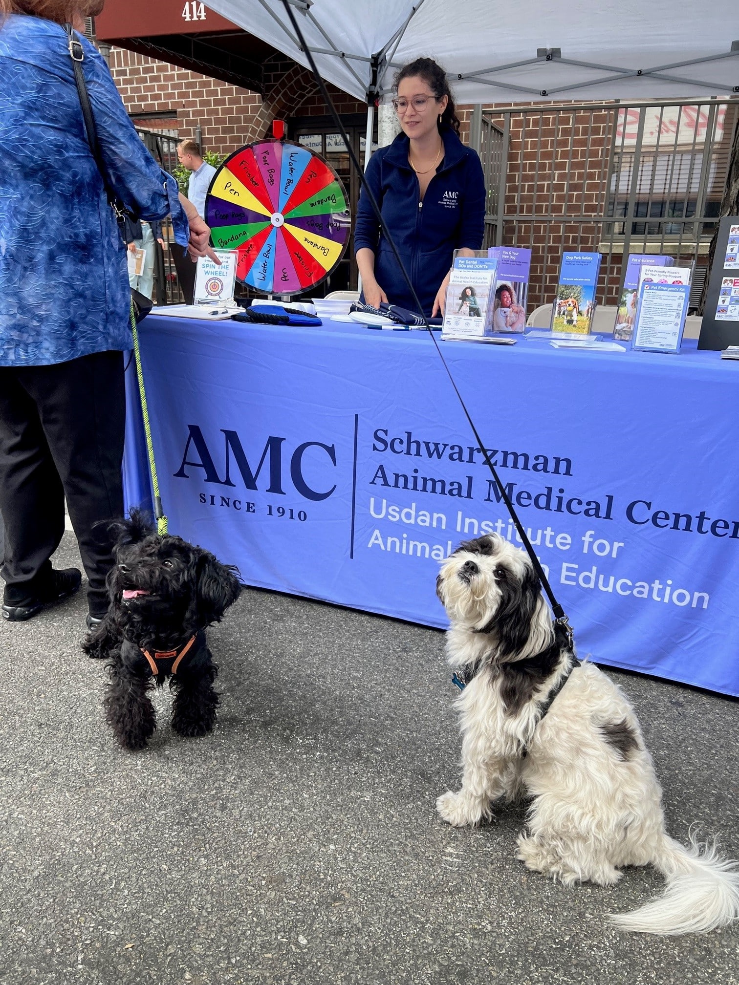 Two small dogs in front of AMC's table at the Muddy Paws Block Party.