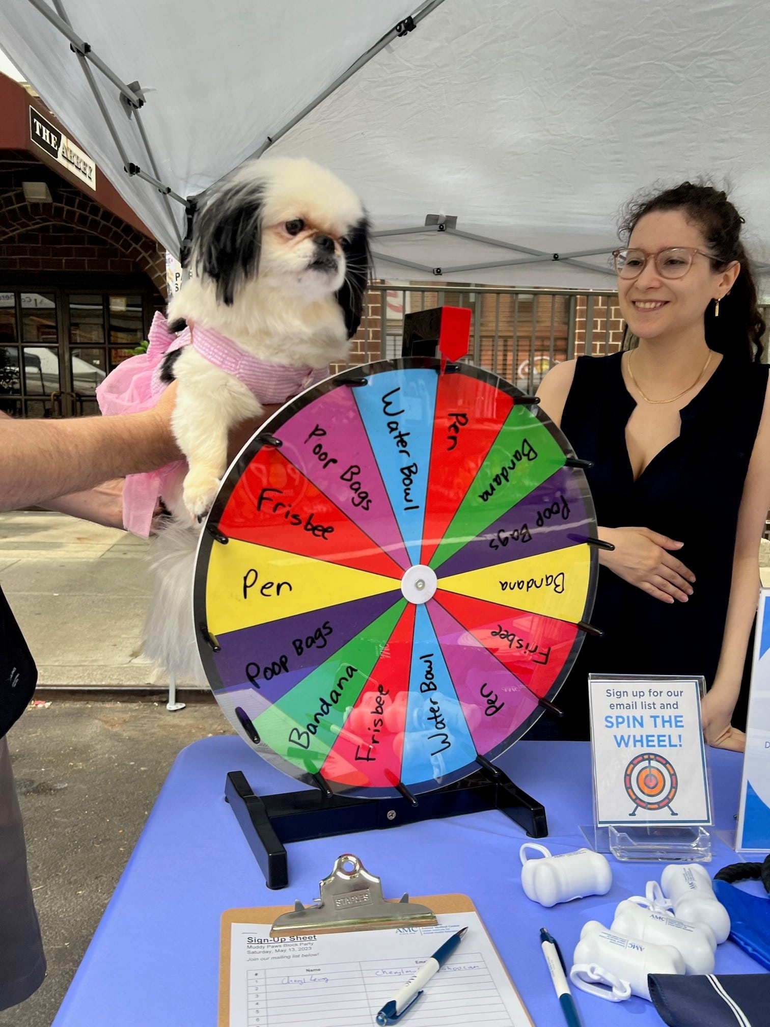 A dog in a pink dress next to the prize wheel on AMC's table at the Muddy Paws Block Party.