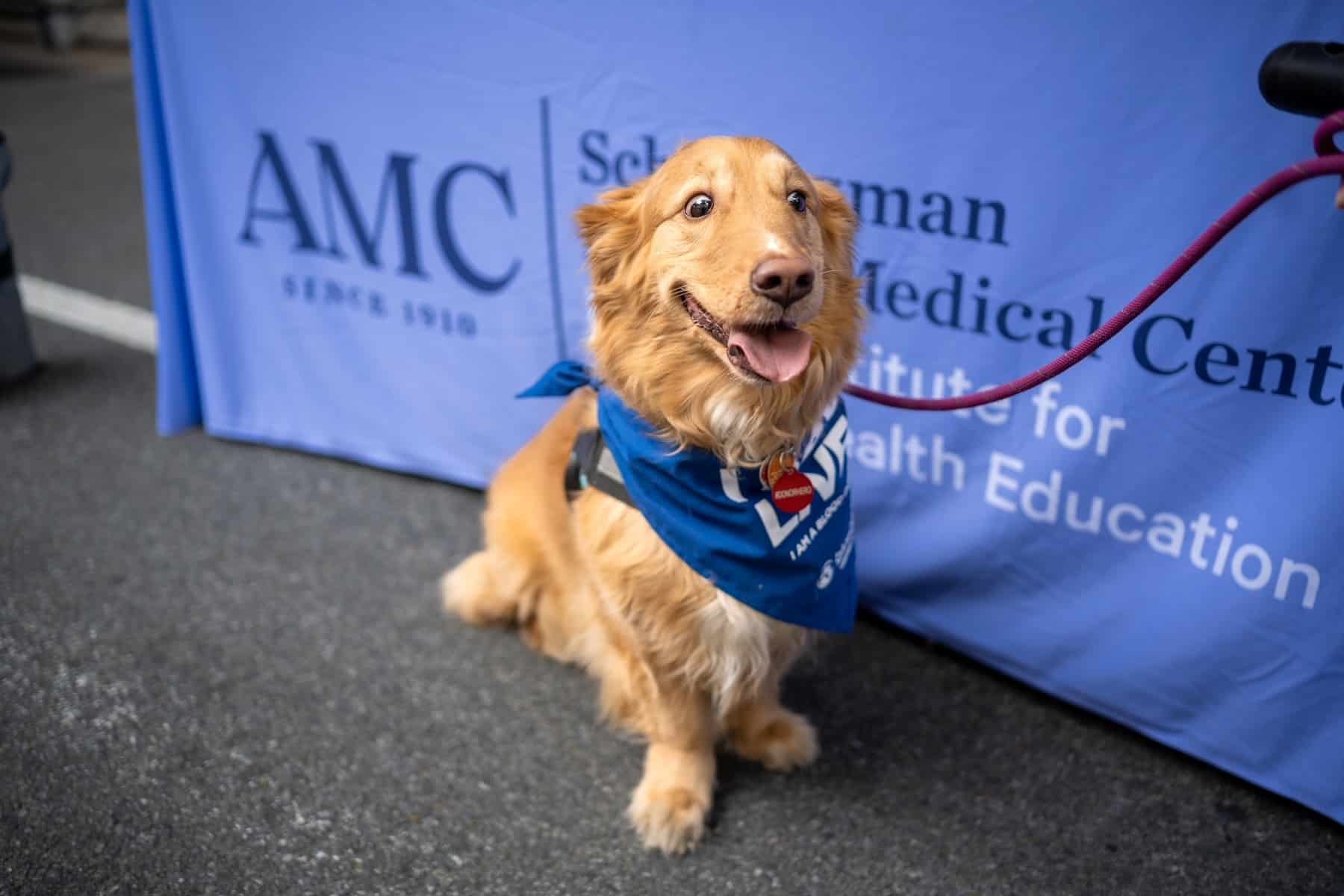 Dog sitting in front of AMC's table at the Muddy Paws Block Party.