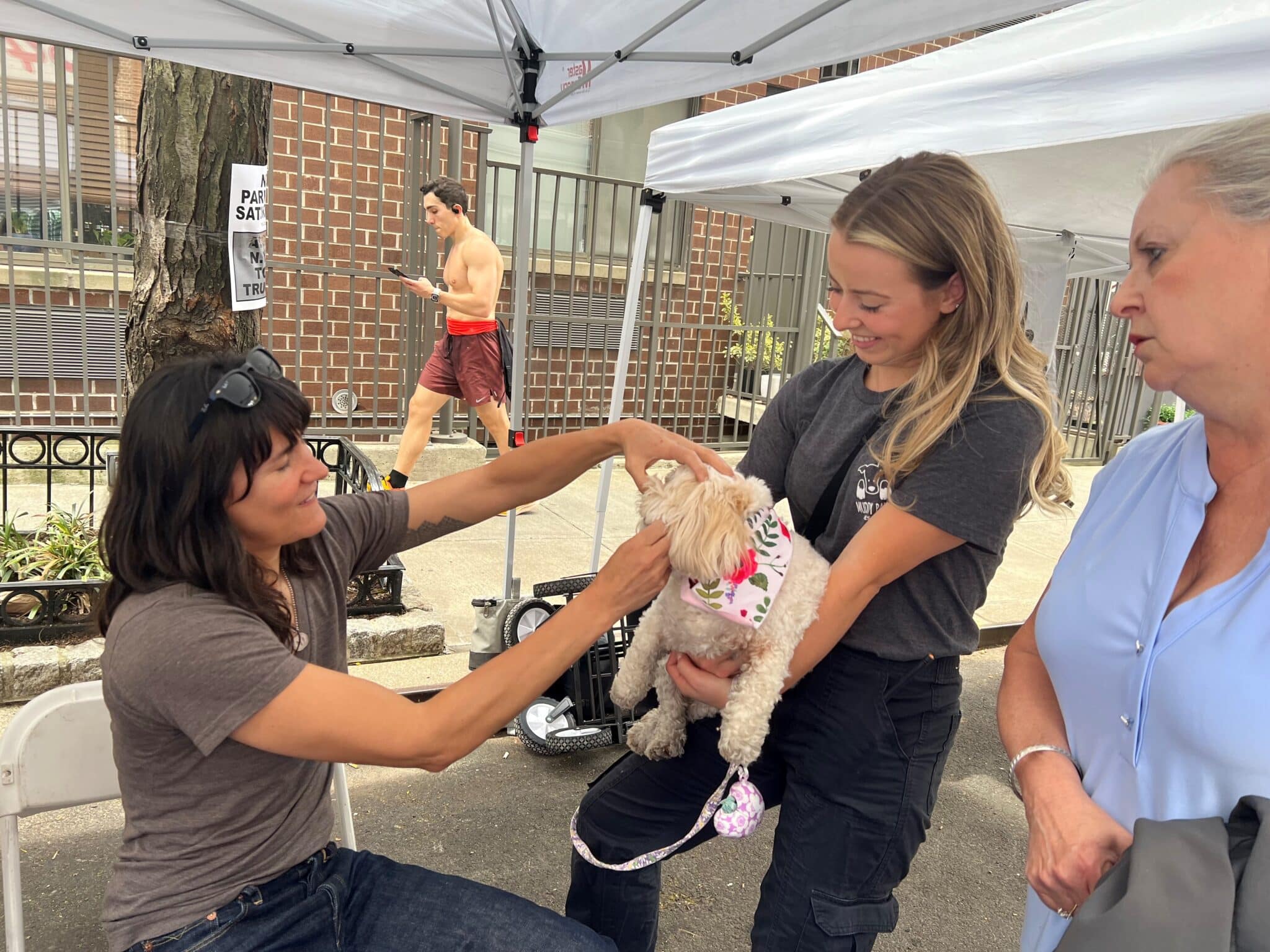 Dr. Heather Brausa examining the teeth of a dog at the Muddy Paws Block Party.