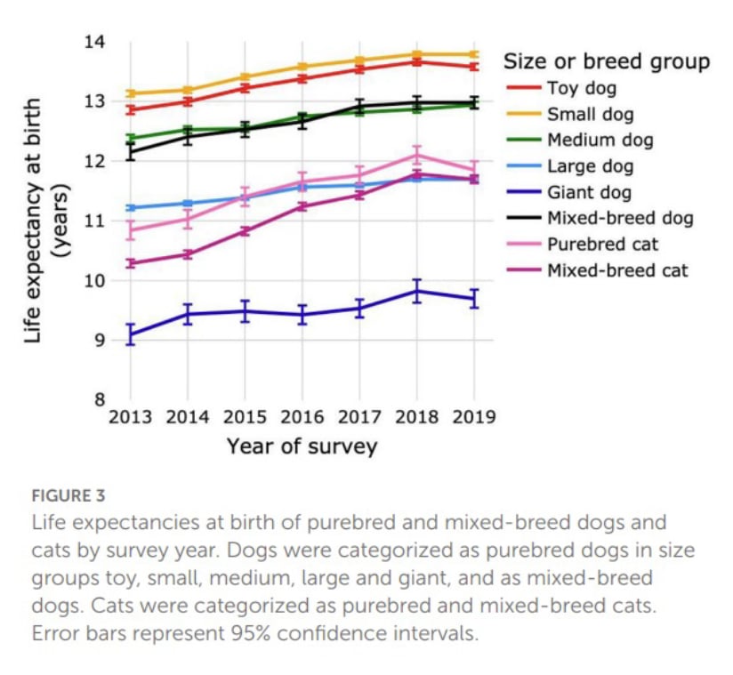 Chart shows life expectancy of dogs and cats over time according to size