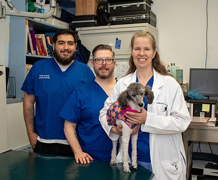 AMC's Ophthalmology team with a dog