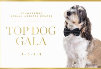Schwarzman Animal Medical Center Top Dog Gala 2023