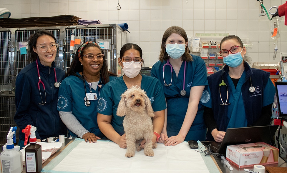 Veterinary Technician Internship class of 2022-2023