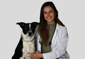 Dr. Mary Evelyn Pearsall of the Schwarzman Animal Medical Center