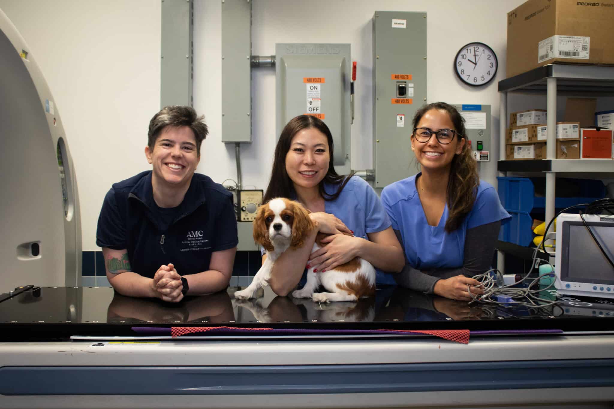 Veterinary professionals with a small dog