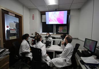 Veterinarians conducting research