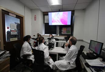 Veterinarians conducting research