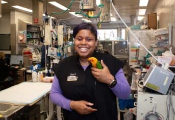 A veterinary professional holding a bird