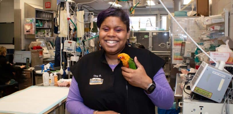 A veterinary professional holding a bird
