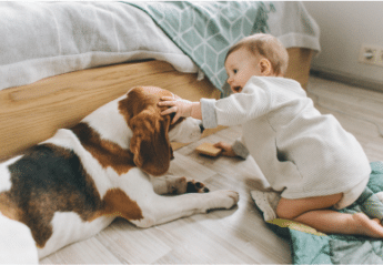 A baby with a dog