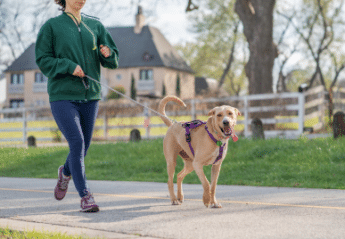 A woman and dog exercising