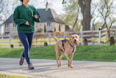A woman and dog exercising