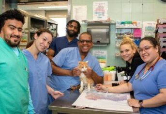 A group of veterinary professionals
